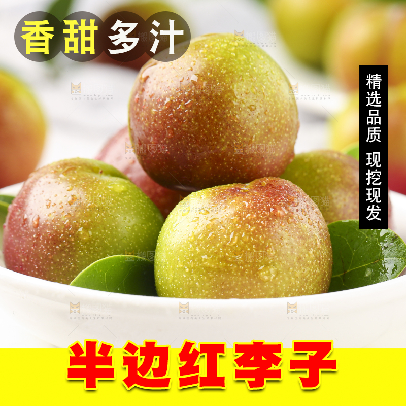 石板上摆放着四川茵红脱骨李
