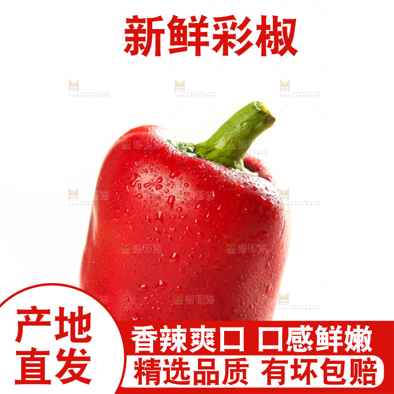 白底上放着灯笼椒