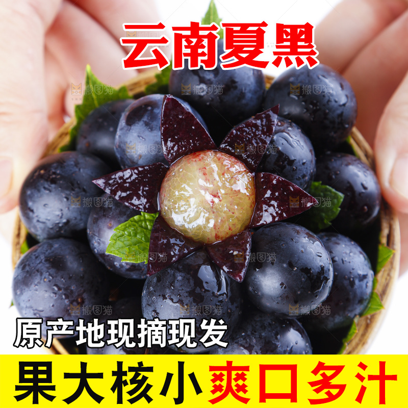 手里拿着黑加仑葡萄