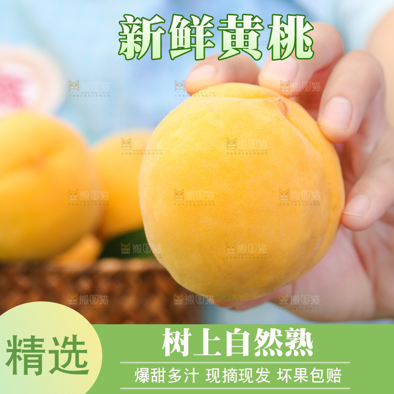 篮子里装着黄肉毛桃