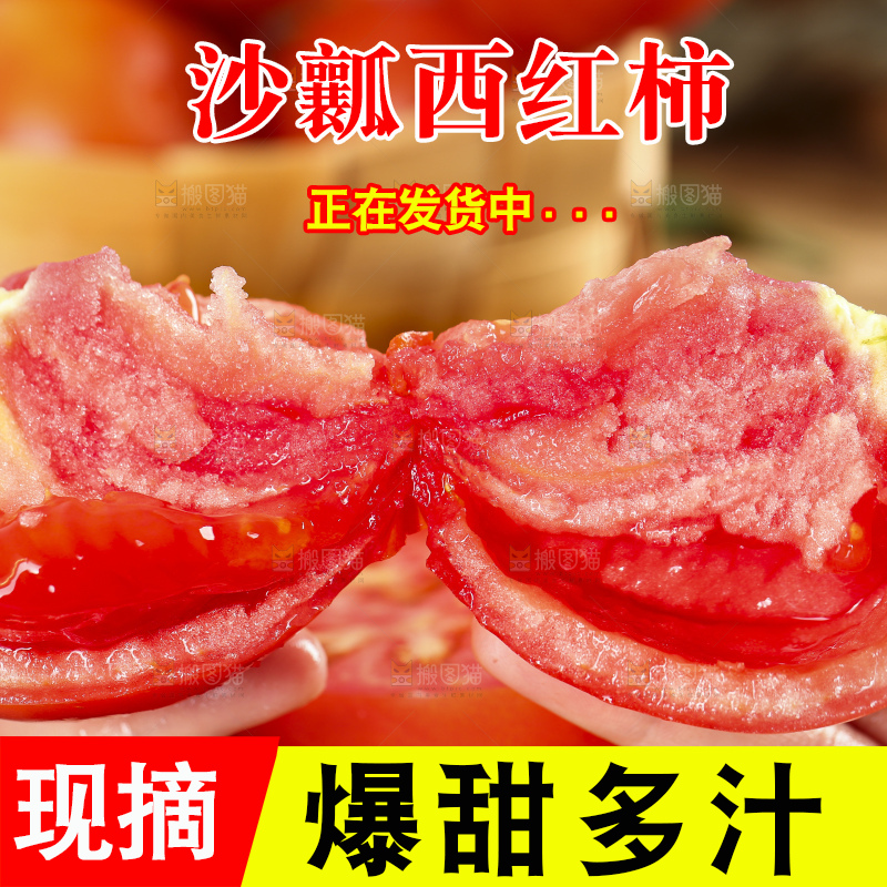 手里拿着米易沙瓤西红柿