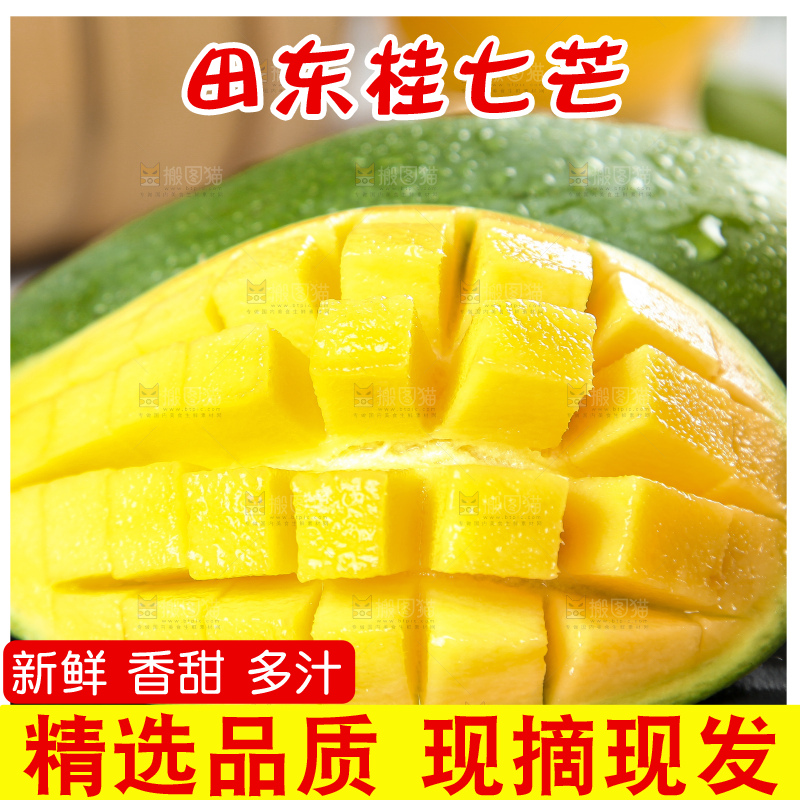 石板上的青皮桂七芒