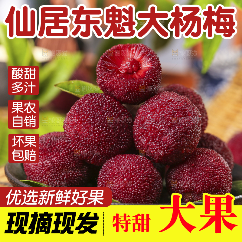 深底上放着余姚杨梅