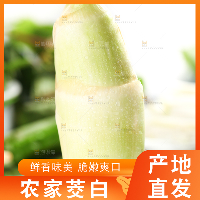 木板上放着高笋