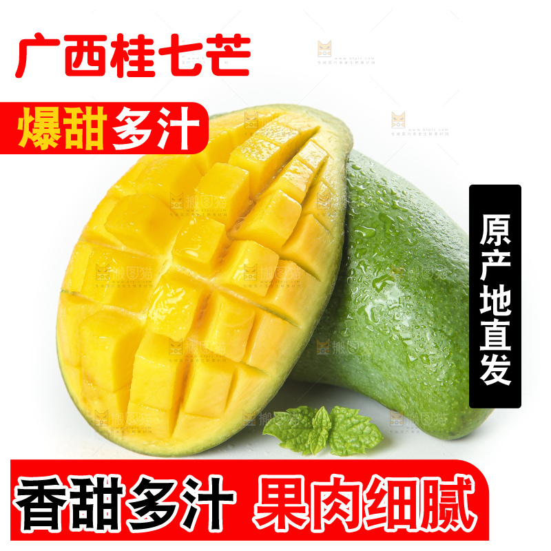 白底上的桂七香芒