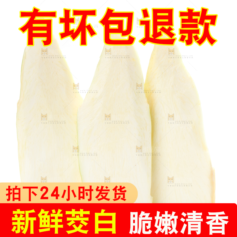 白底上的茭白