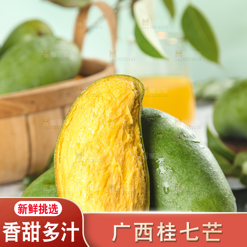 石板上的青皮桂七芒