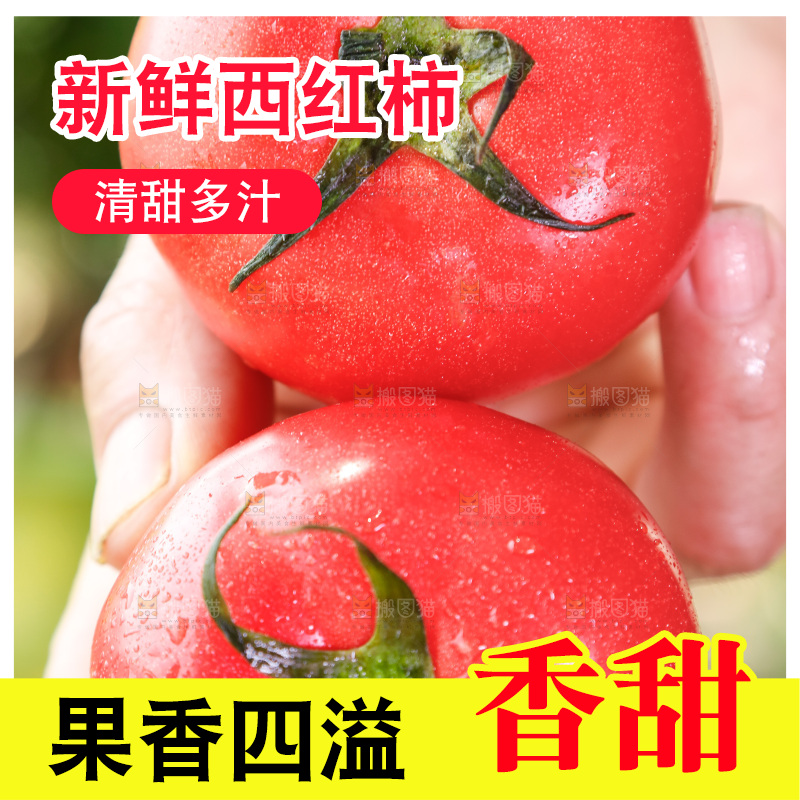 手里拿着普罗旺斯西红柿