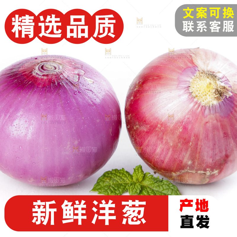 白底上放着洋葱