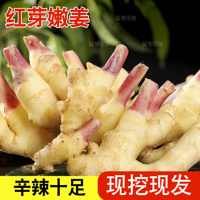 黑石板上放着红芽嫩仔姜