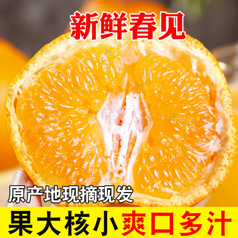 木板上的春见耙耙柑