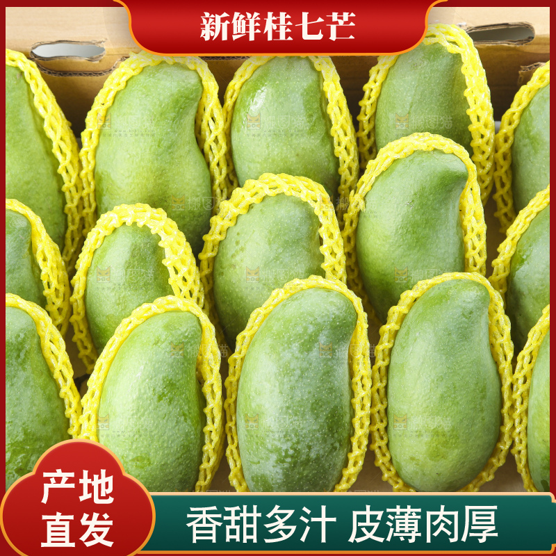 箱子里装着百色田东桂七芒