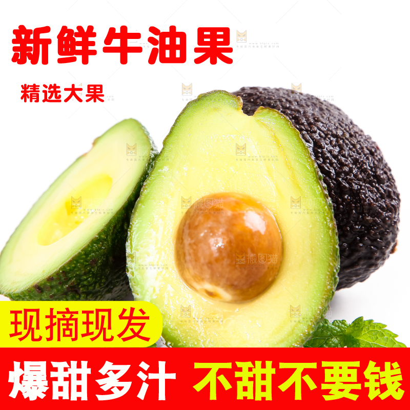 白底上的墨西哥牛油果