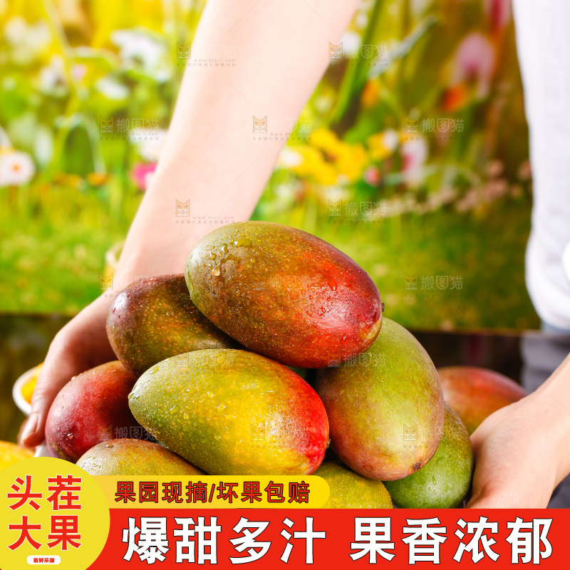 盘子里的爱文芒