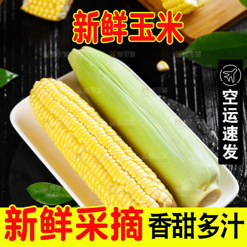 黑石板上的东北玉米