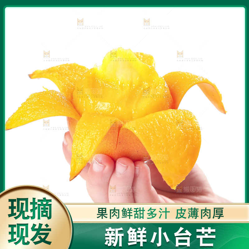 手里拿着小台农芒果肉