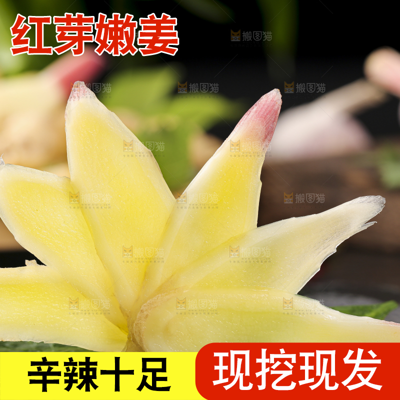 黑石板上放着红芽嫩仔姜