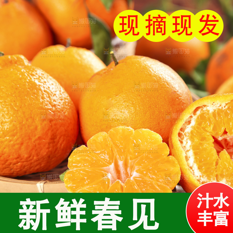 木板上的春见耙耙柑