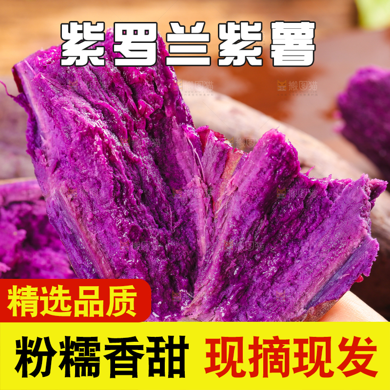 手里拿着紫番薯
