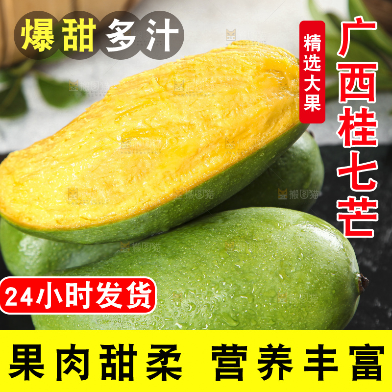 石板上的青皮桂七芒