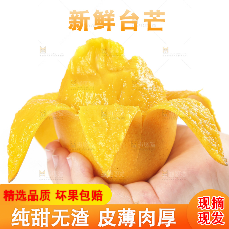 手里拿着小台农芒果肉
