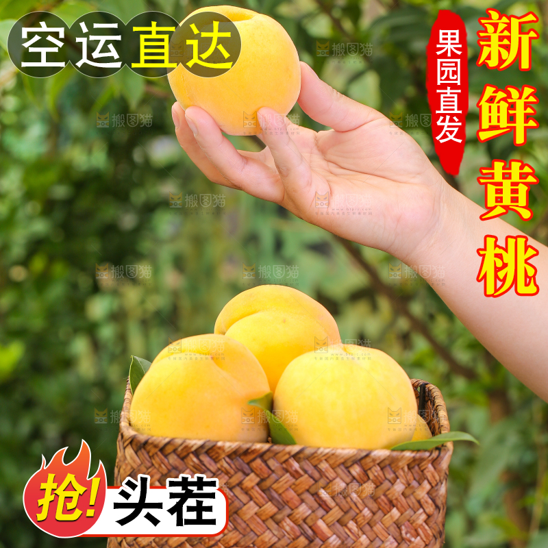 手里拿着黄肉水蜜桃