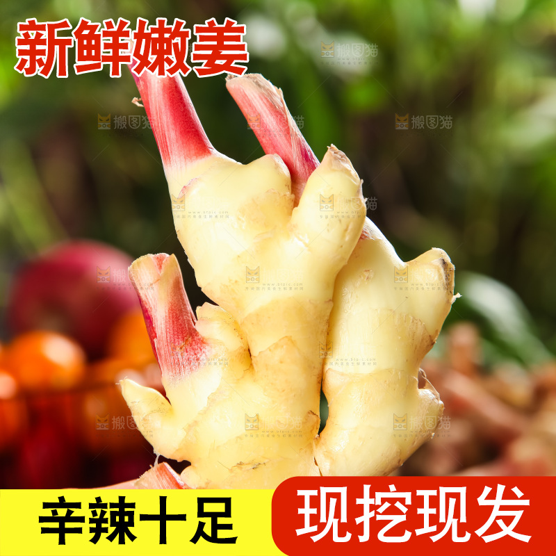 手里拿着嫩姜