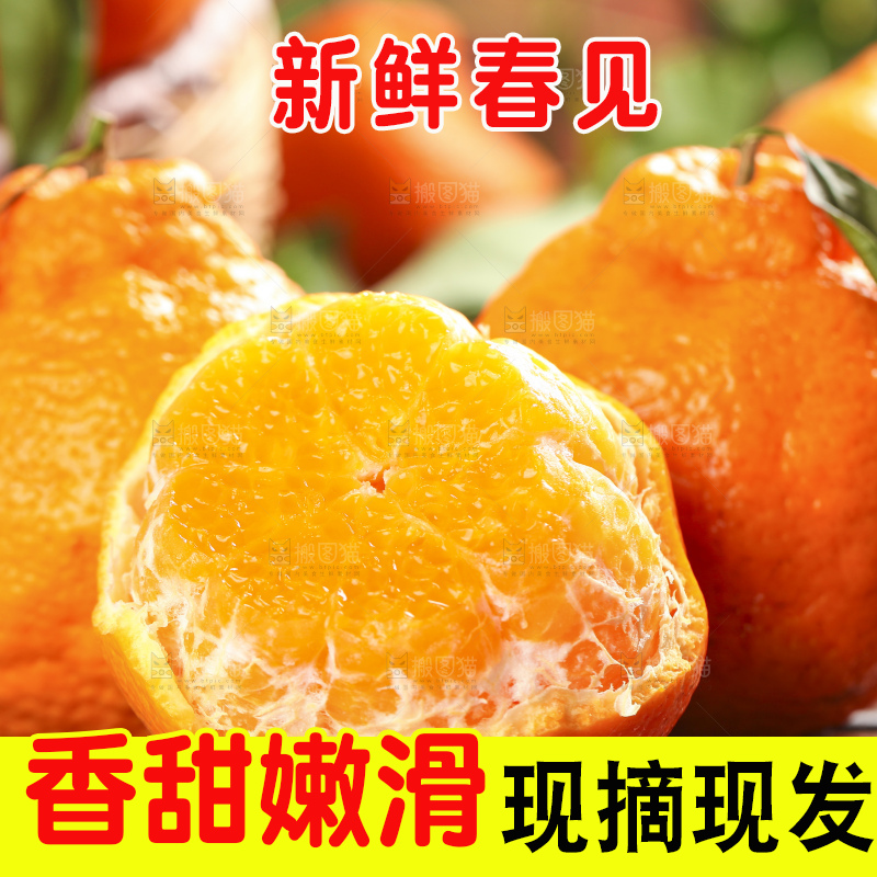 深底上放着春见橘柑