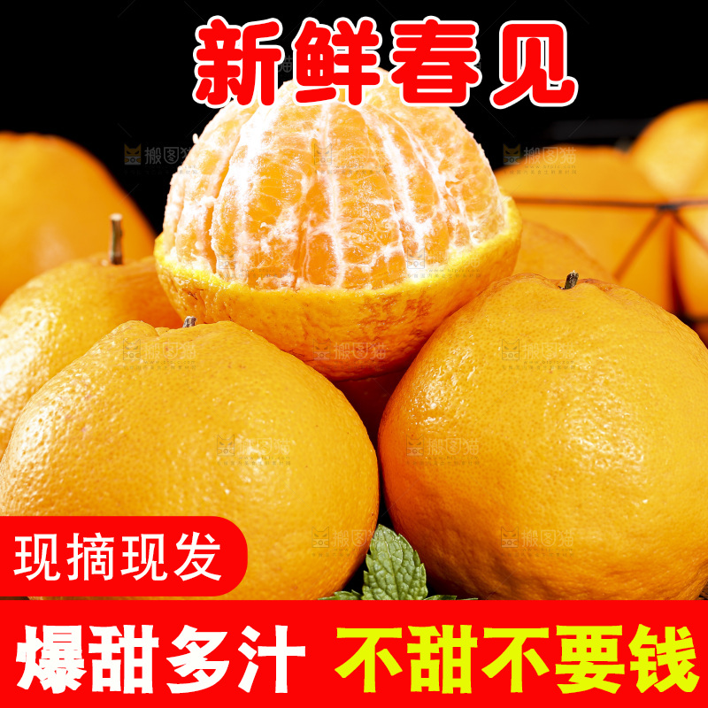 石板上摆放着四川春见耙耙柑