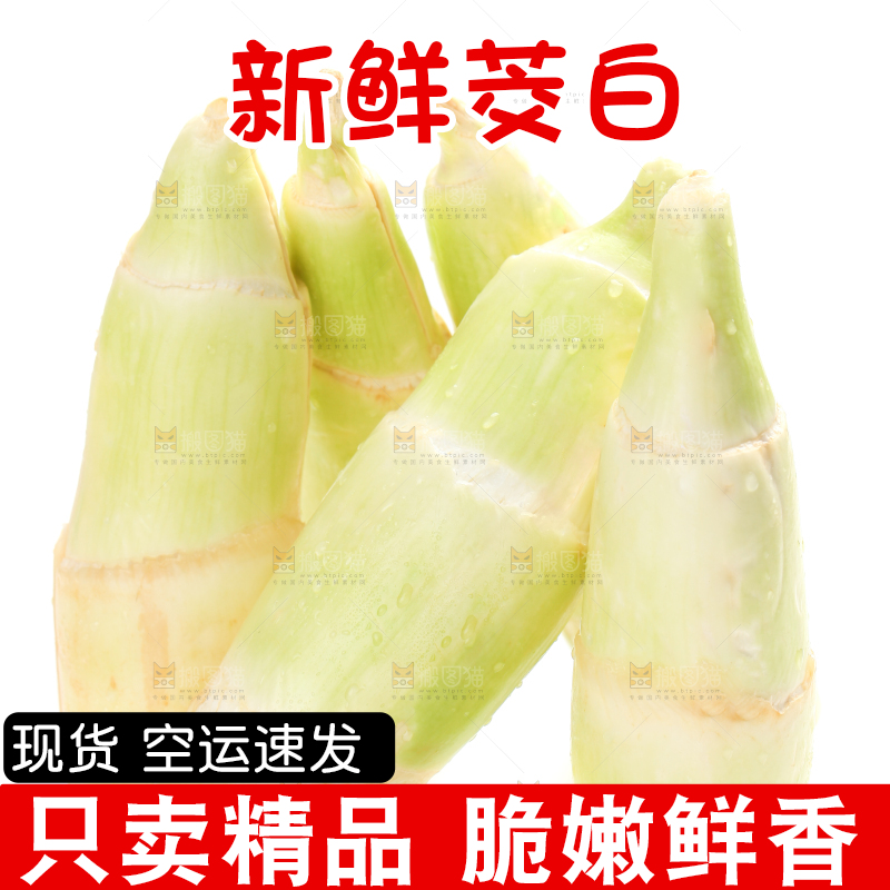 白底上的茭白