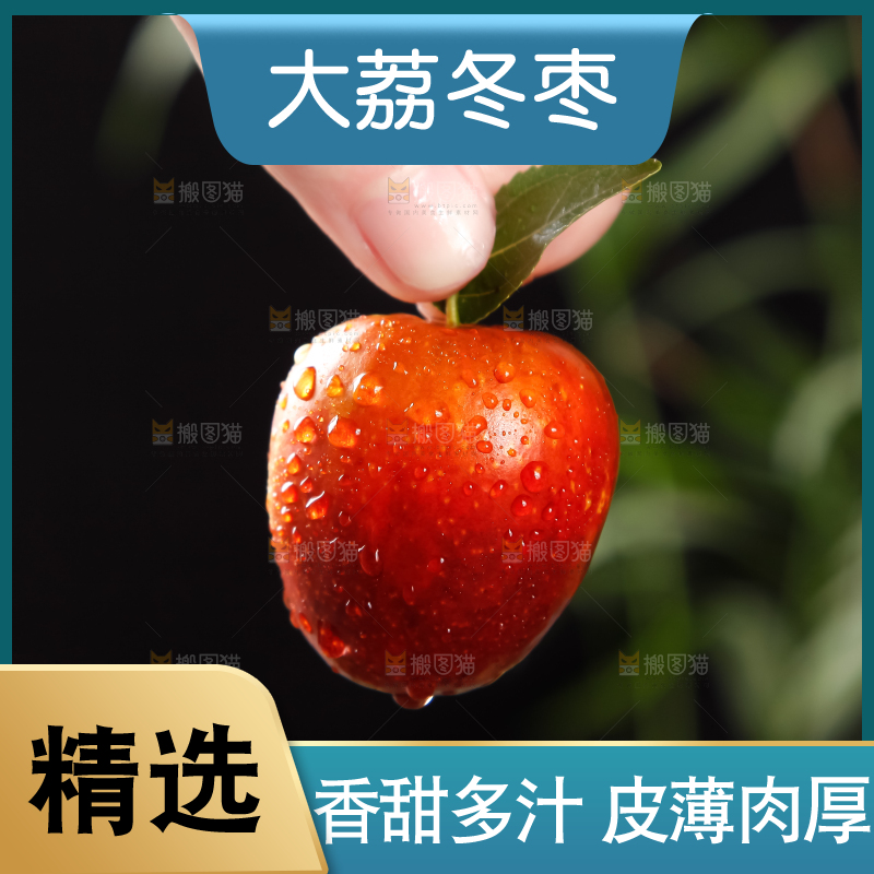 手里拿着沾化冬枣