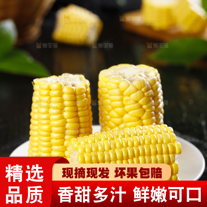 黑石板上的东北玉米