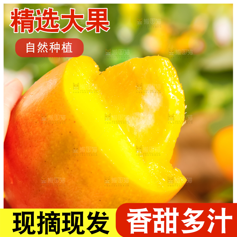 手里拿着吉禄芒果