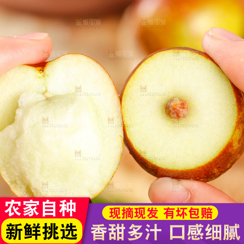 手里拿着沾化冬枣