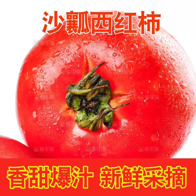 亮底上的新鲜西红柿