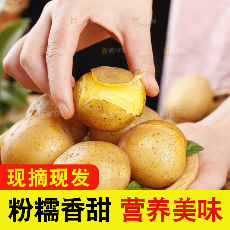 手里拿着迷你小土豆