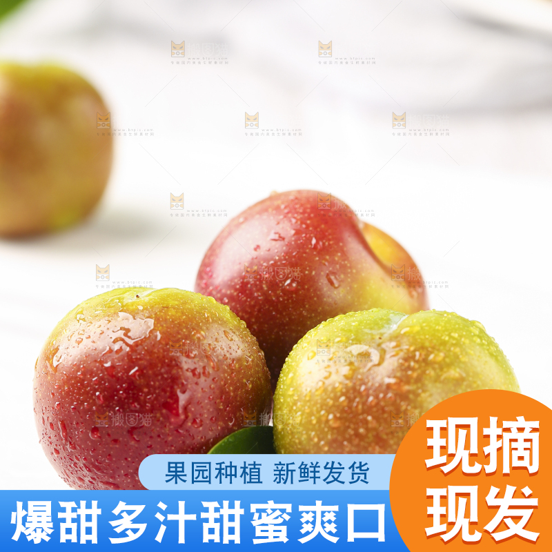 石板上摆放着四川茵红脱骨李