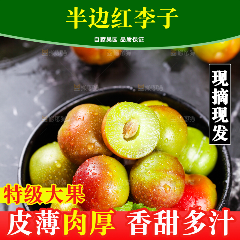 盘子里装着新鲜李子