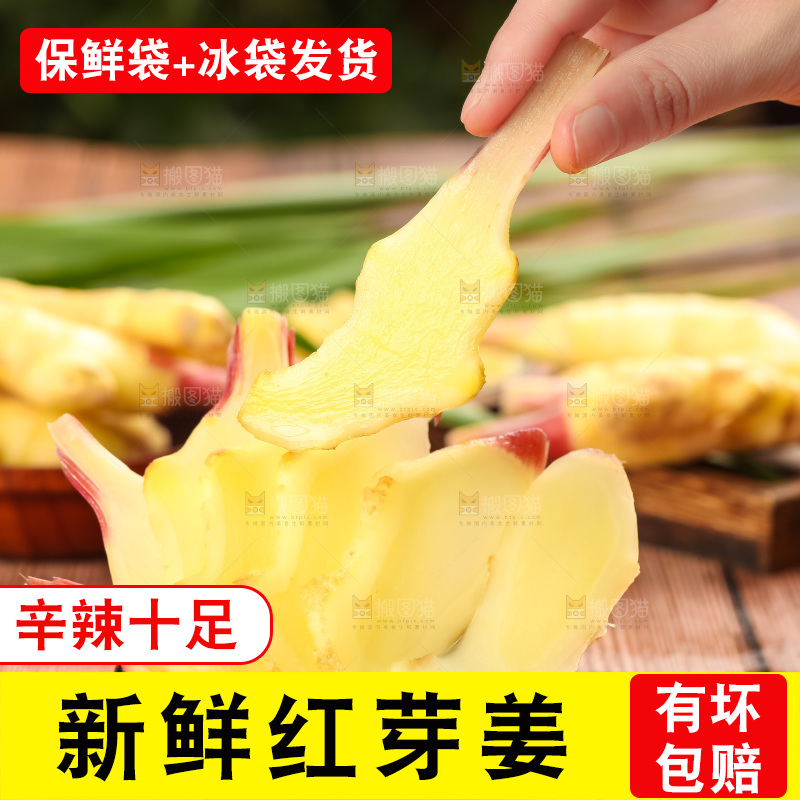 手里拿着新鲜生姜