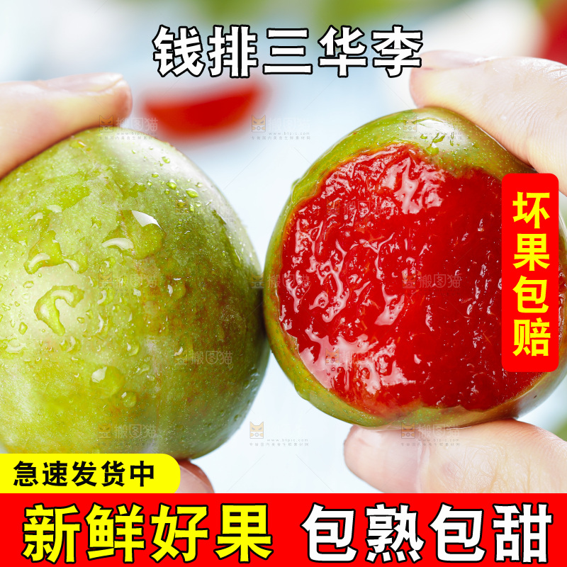 手里拿着广西红心李子
