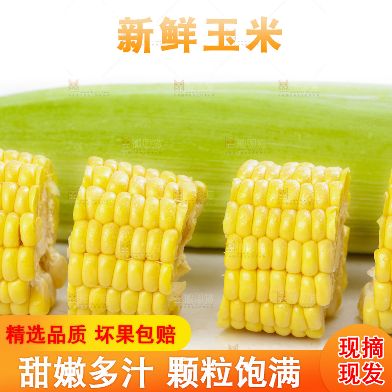 白底上放着新鲜玉米