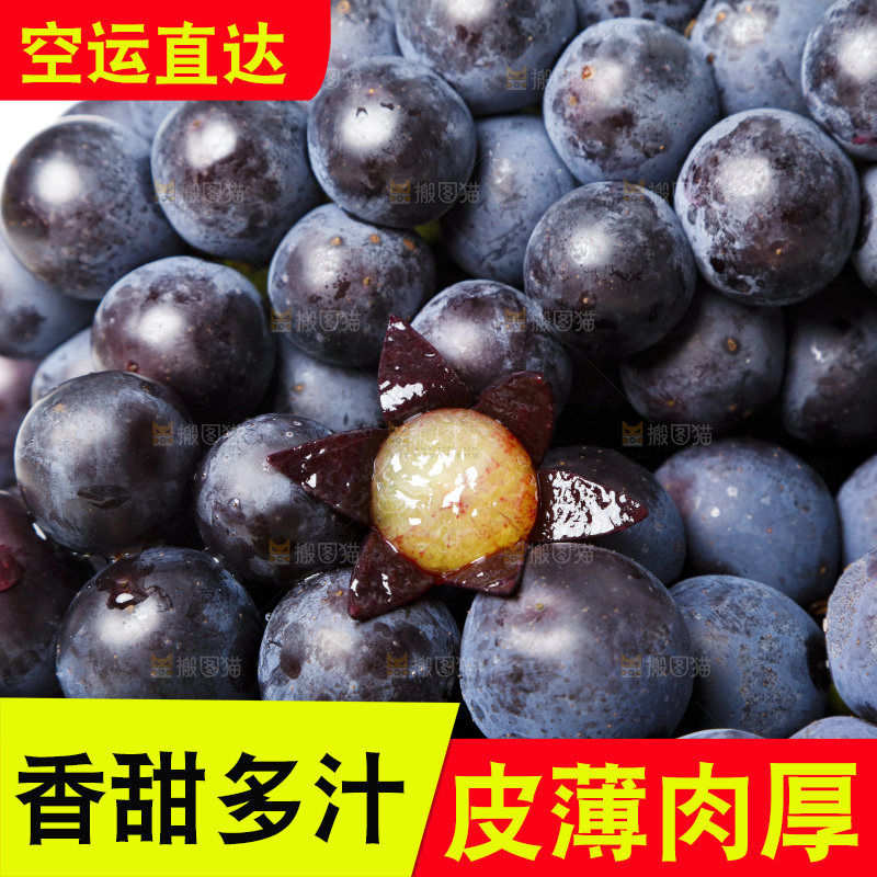 白底上的巨峰葡萄