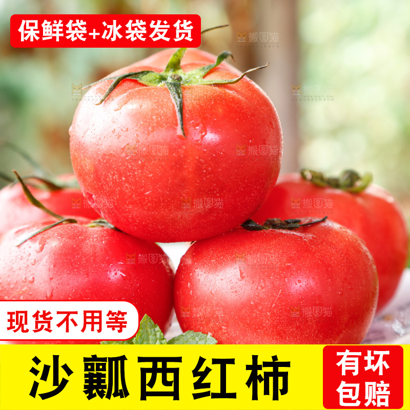 草地上的一堆新鲜西红柿
