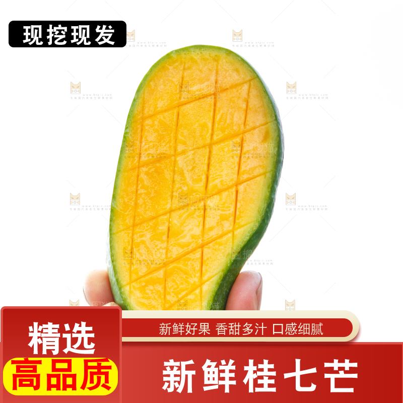 手上拿着田东桂七青芒