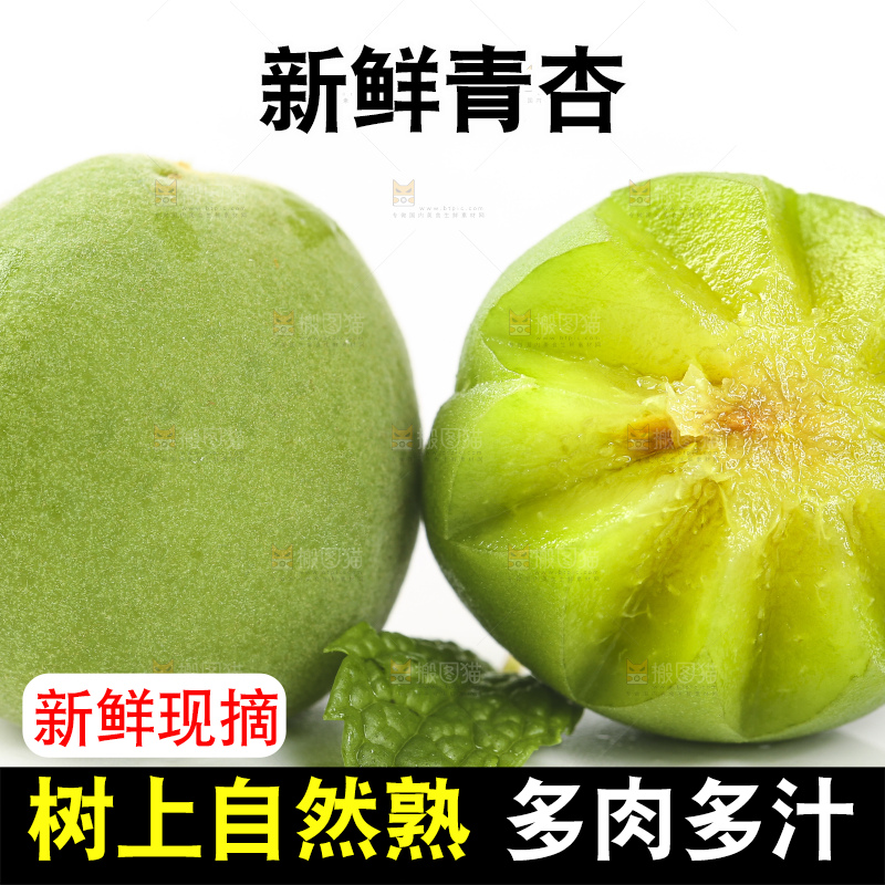 白底上的新鲜青杏