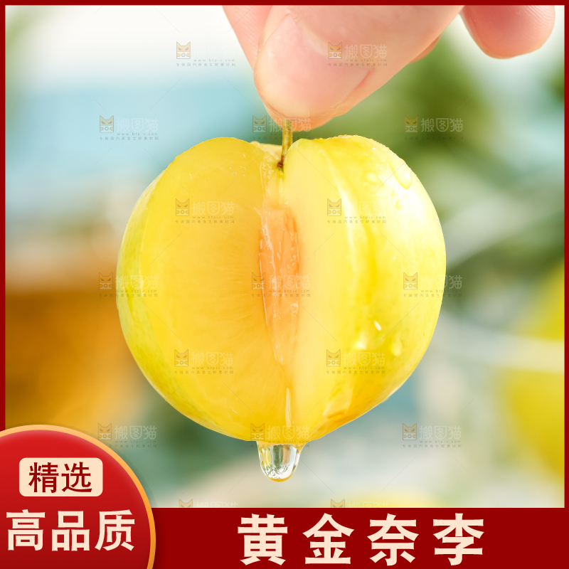手里拿着新鲜黄金奈李