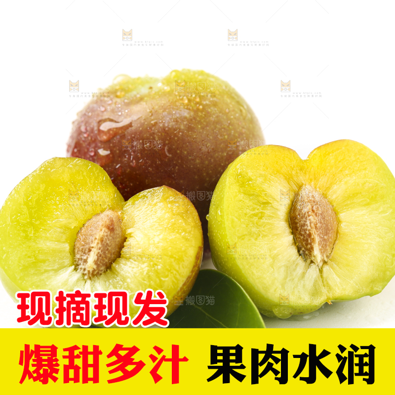 白底上的四川茵红脱骨李