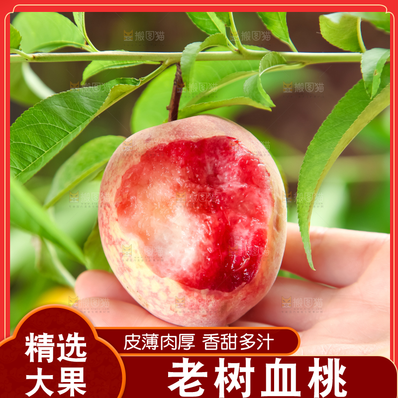 手里拿着毛桃
