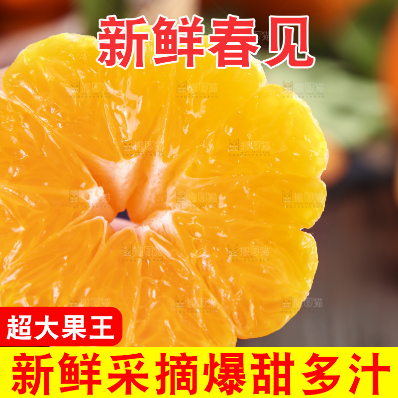 木板上的春见耙耙柑