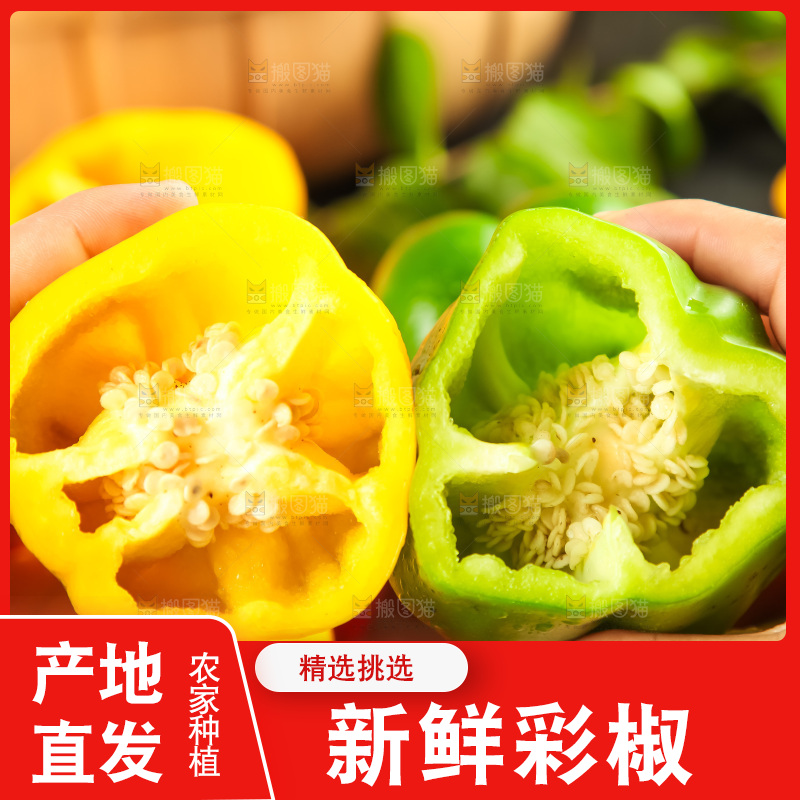 手里拿着新鲜辣椒